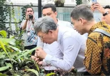 BRIN Save Threatened Plant Species in Cibodas Botanic Garden