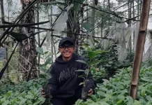 Gen Z Coffee Farmers in Pandansari Export Products Abroad