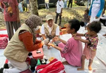Ministry Prioritizes Healthcare Access in Indonesia's Island Regions