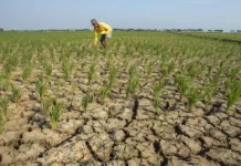 Drought Threat Expands, Tangerang Maps Drought-Prone Areas