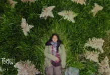 Empat Musim Pertiwi Set for World Premiere at TIFF 2026