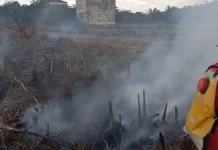 East Kotawaringin Wildfires Spread as BPBD Records 268 Hotspots