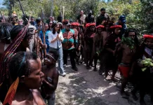 Wamena Showcases World-Class Potential for Cultural and Agro-Tourism