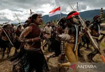 Kumukima and Aikima Heritage Boost Baliem Valley Festival in Wamena