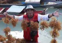 Indonesia Boosts Agro‑Industry Skills for Global Markets