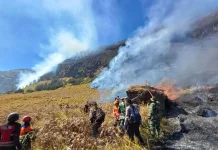 Bromo Wildfire Expands, Challenging Indonesia’s Emergency Response