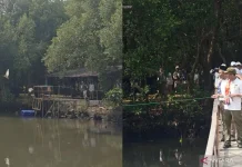 Forestry Ministry Releases 15 Waterfowl at Angke Nature Park
