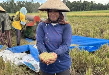 Indonesian Farmers’ Welfare Shows Positive Progress: Govt