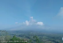Mount Semeru Erupts Eight Times, Ash Plumes Reach 800 Meters