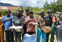Komnas HAM Urges Stronger Support for Displaced Residents in Central Papua