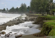 Bappenas Addressing Climate Impacts Through a Green Economy Approach