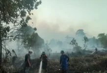 Forest and Land Fires in West Kotawaringin Reach 160 Incidents