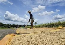Dutch Envoy Highlights Food Security as Cornerstone of Bilateral Ties
