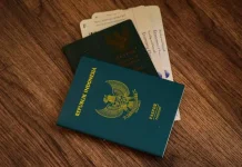 Indonesia Considers Dual Citizenship for Skilled Diaspora