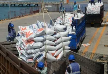 Indonesia Marks Independence Anniversary with Rice Export to Malaysia