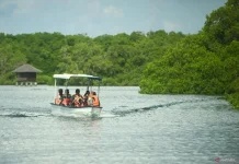 Global Experts at CAITEC 2026 Tackle Climate & Ecotourism