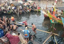 Water Pole-Climbing Enlivens Independence Day in Jakarta's Fisherman Village