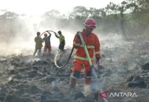 East Kalimantan Uses Carbon Funding to Strengthen Forest-Fire Mitigation