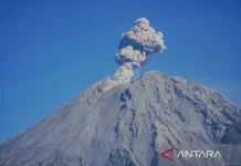 Mount Ibu, Lewotobi Laki-laki and Semeru Erupt in One Night