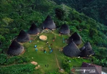 NTT Tourism Destinations Close After Magnitude 7.7 Earthquake