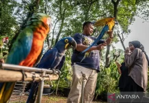 2026 Flora and Fauna Festival to Showcase Six Eco-Regions in Jakarta