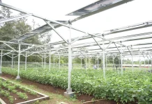 Taiwan Sees Smart Agriculture Cooperation Opportunity with Indonesia