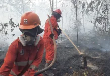 Hotspot Decline Signals Progress, But Fire Risks Persist