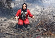 Forest Fires Threaten Wildlife in West Kalimantan’s Ketapang