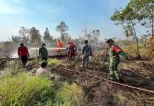 Indonesia Steps Up Wildfire Control to Protect Public Health