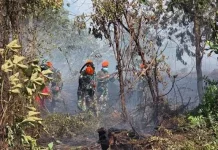 Indonesian Govt Responds to Cross-Border Impact of Kalimantan Fires
