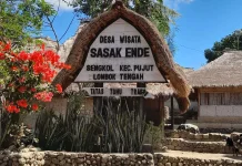 Sade Fire Prompts New Cultural Tourism Options for MotoGP Tourists