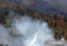 Forest Fire Threatens Mount Arjuno-Welirang Ecosystem