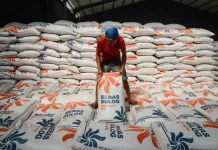 Agricultural Sector Strengthens as Indonesia Pursues Rice Exports