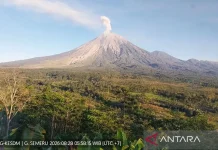 Mount Semeru Records 21 Eruption Quakes Under Level III