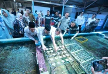 Banyuwangi Coral Goes Global, Reaching Markets in 20 Countries