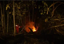 Japan Deploys CH-47 Helicopters to Aid Indonesia’s Forest Fire Response