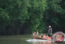 World Bank Funds 6,486-Hectare Mangrove Restoration in East Kalimantan