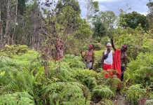 PCS 2026 Redefines Biodiversity Through Post-Colonial Lens in Yogyakarta (LIPUTAN)