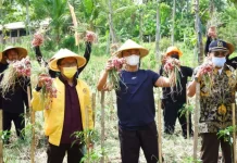 Gunungkidul-South Korea Explore Seasonal Worker Partnership