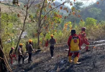 Six New Wildfires Highlight Indonesia’s Dry Season Vulnerabilities