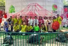 Surabaya Zoo Welcomes Four Giant Aldabra Tortoises from Japan