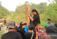 Dayak Basap Community Uses Sacred Rituals to Protect Ancestral Forests