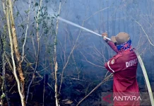 BMKG Issues Red Alert as 1,299 Hotspots Hit South Kalimantan