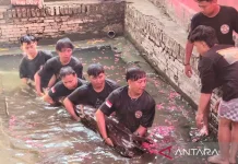 Cirebon's Balong Tuk Site Pushed for Official Heritage Status