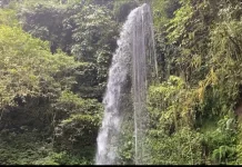 Pipa Belanda Waterfall Blends Nature and Colonial History in Bengkulu