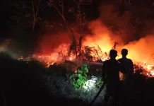 Komnas HAM Warns of Broader Rights Damage from Forest and Land Fires