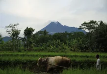 Wonderful Indonesia Sales Mission Targets Taiwan Travel Market