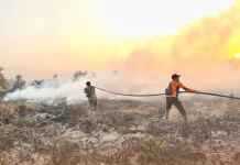 September Fire Control Measures Focus on Rapid Detection