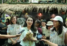 Jakarta's Wiwitan Market Blends Creative Economy and Nature Conservation
