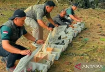 BKSDA Jambi and Flight Thwart Smuggling of 198 Birds